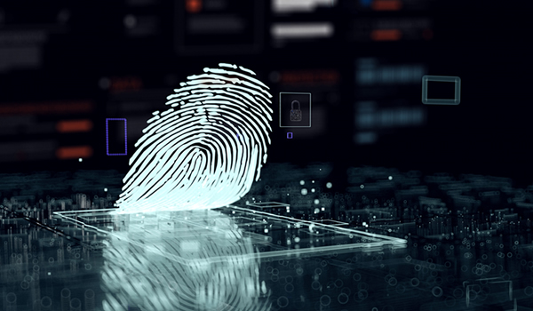 指紋鑑定にかかる日数、期間について